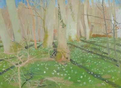 Forest with anemonies by Maurice Denis